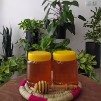 عسل طبیعی گشنیز و گون آبتین(یک کیلیویی)