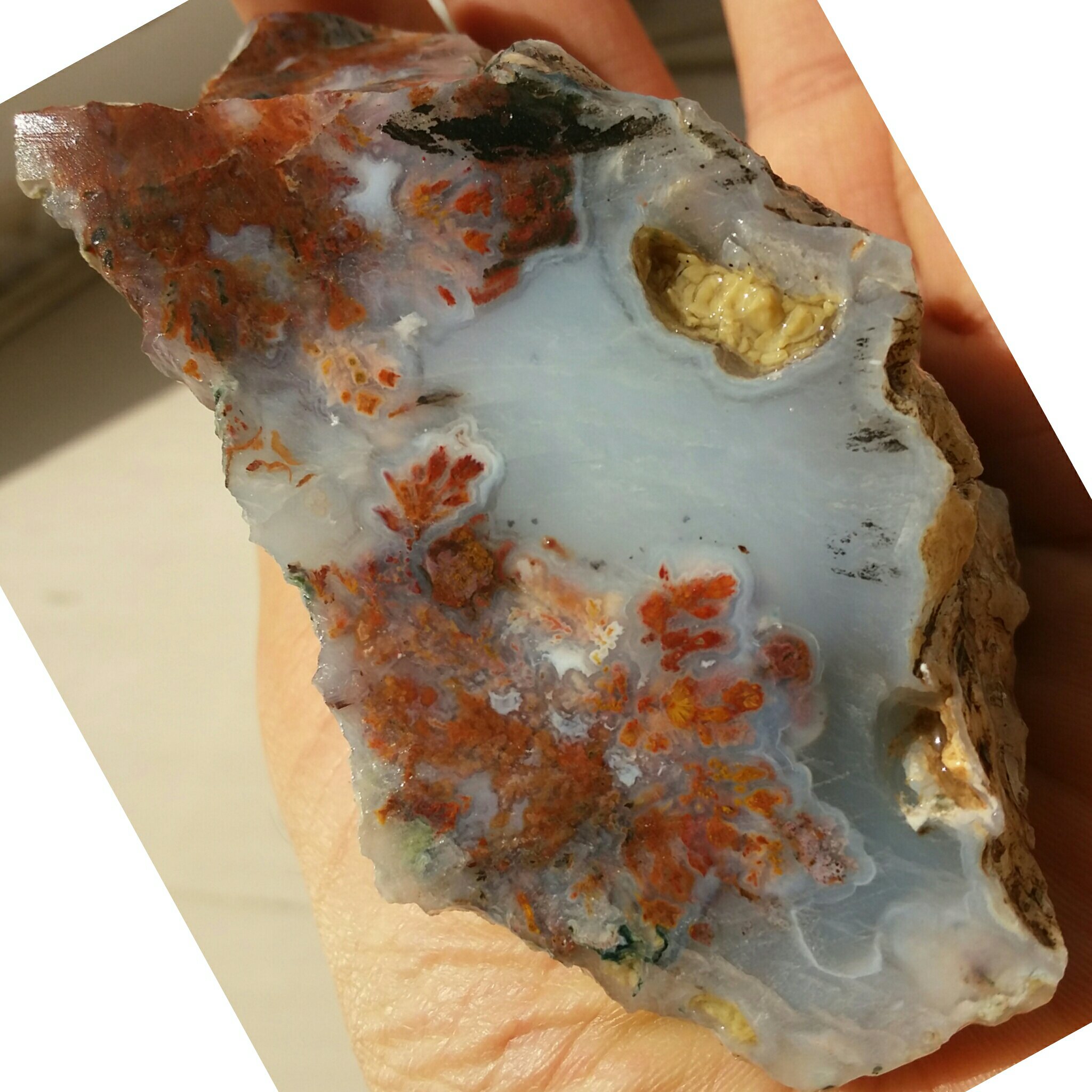 اسلایس سنگ راف شجر شکوفه دیدنی محشر شاهکار خلقت کاملا طبیعی تابلو نقاشی طبیعی 