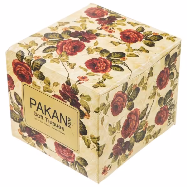 دستمال کاغذی 100 برگ پاکان مدل Patris | فروشگاه اینترنتی تاتا کالا