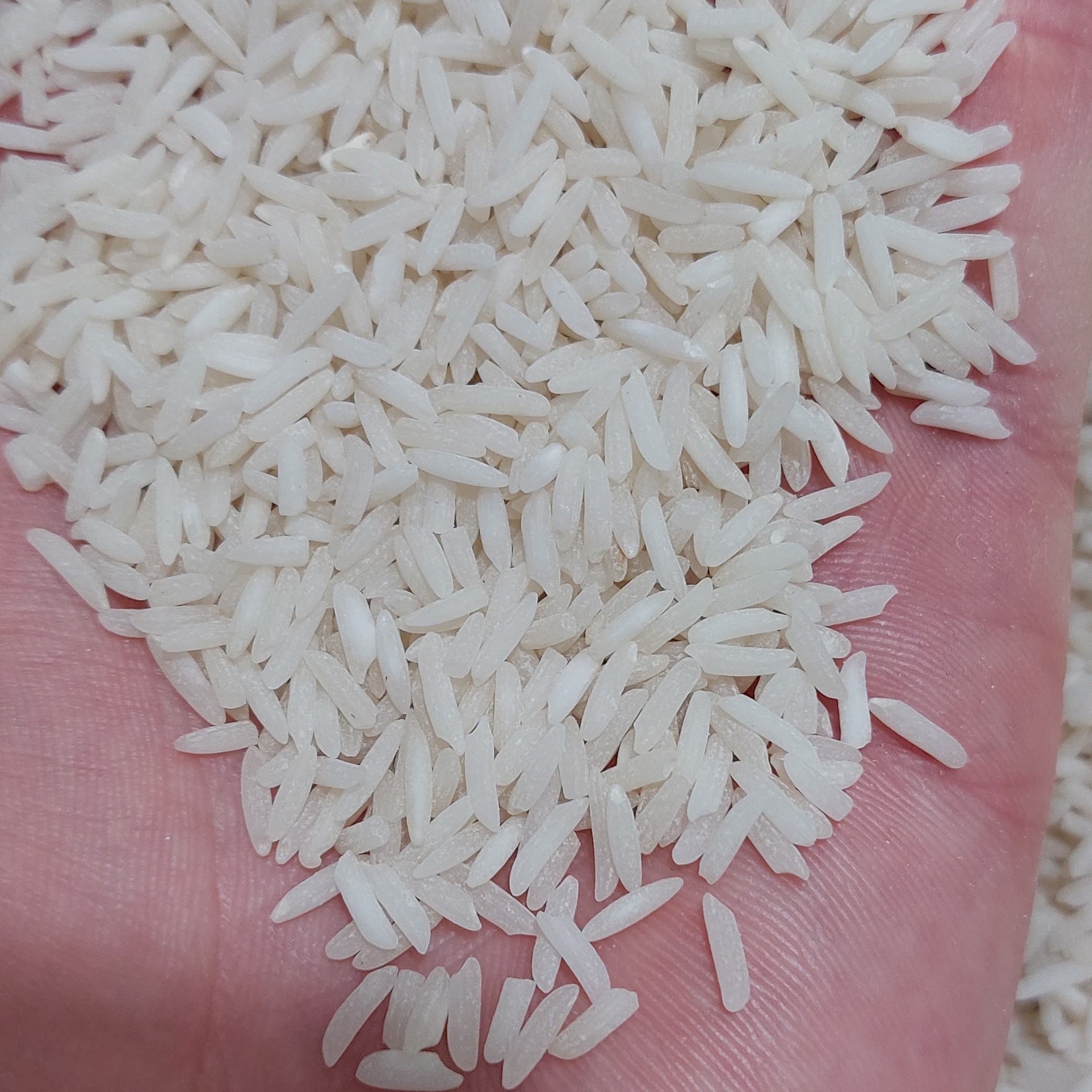 برنج هاشمی شمال درجه یک