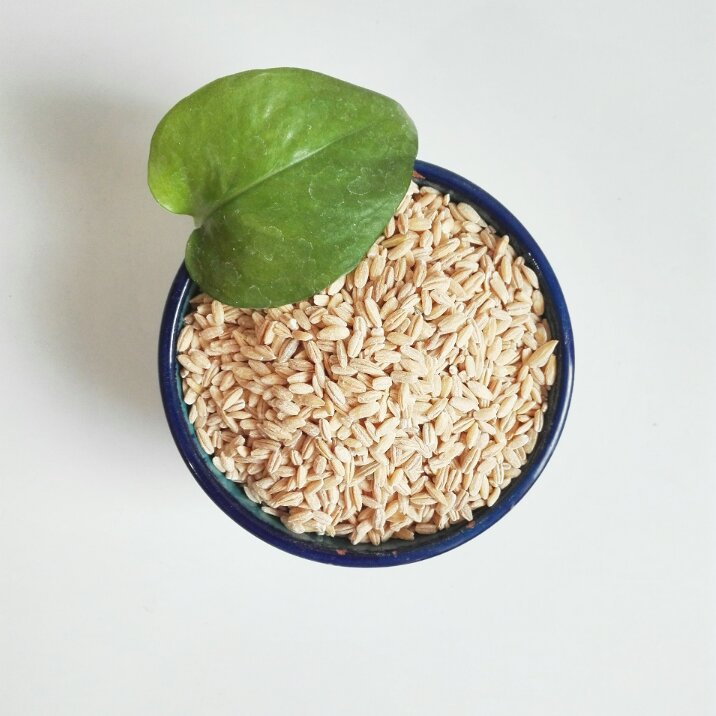 جو درسته امساله مخصوص سوپ 900 گرمی