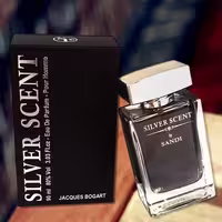 ادکلن سیلور سنت مردانه شرکت سندی Silver Scent