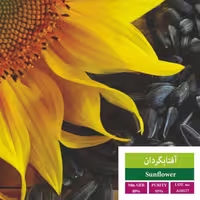 بذر آفتابگردان خوراکی بذر طلایی رویان (یک بسته)
