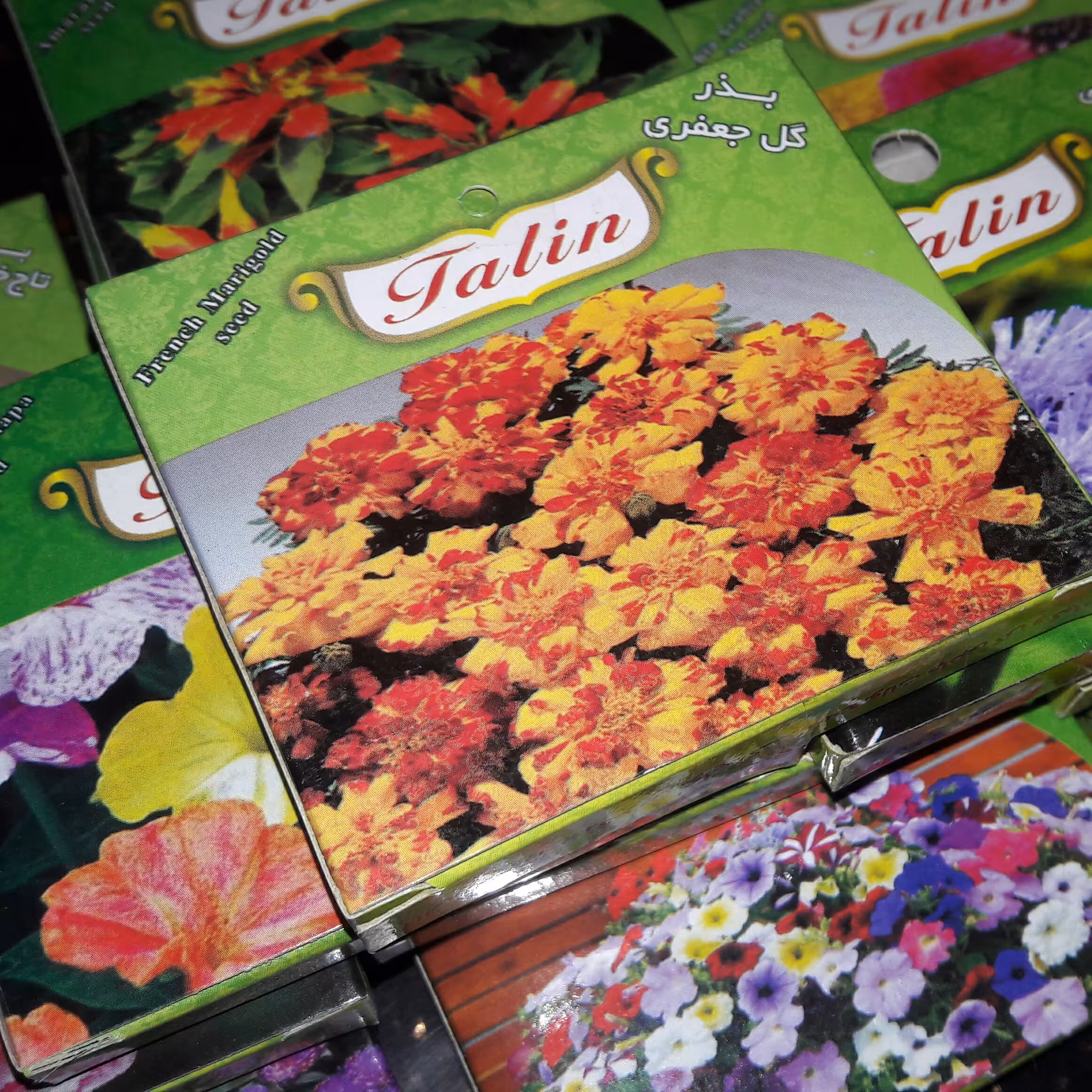 بذر گل جعفری Tagetes erecta