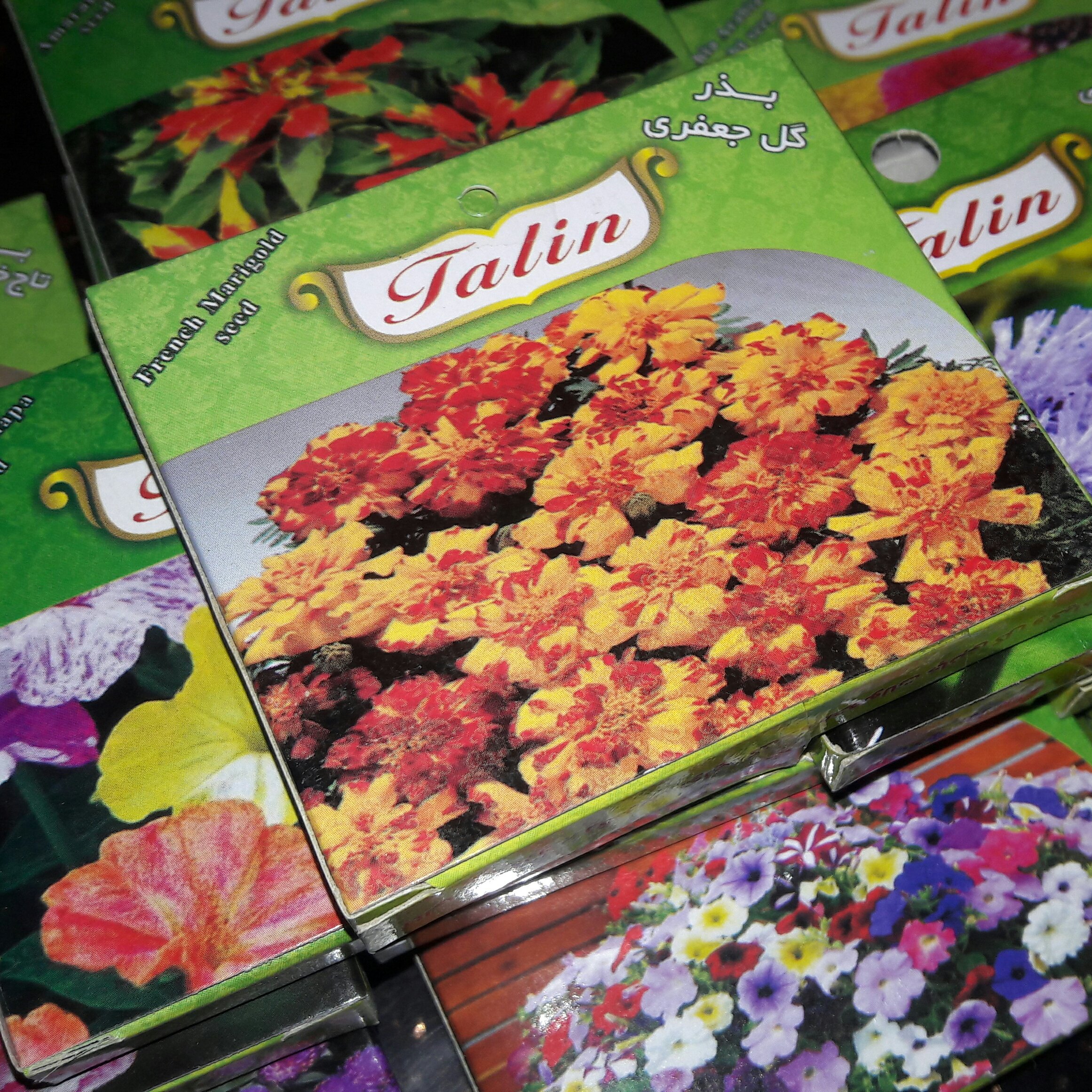 بذر گل جعفری Tagetes erecta