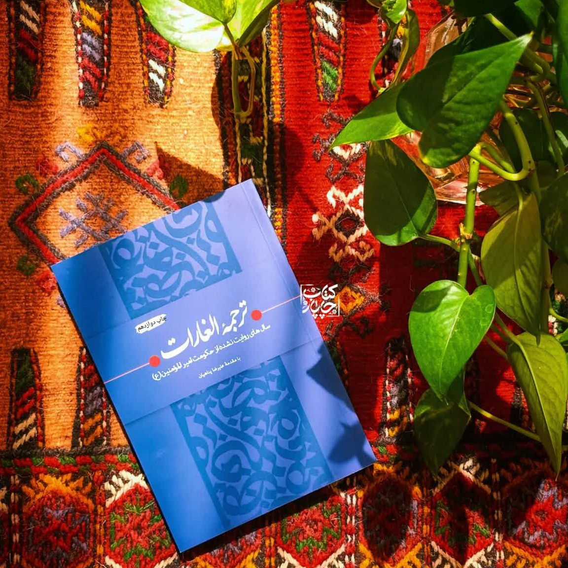 ترجمه الغارات