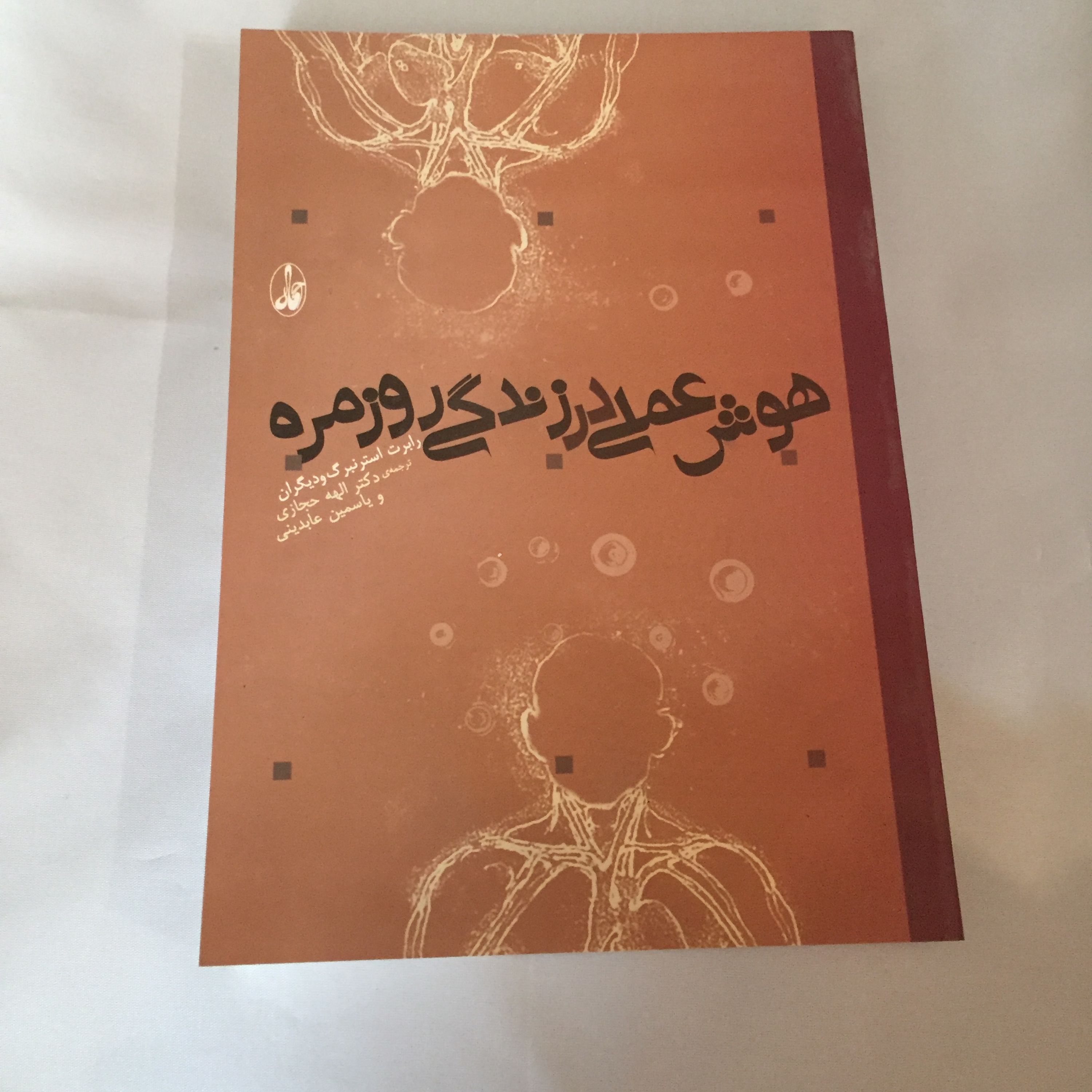 کتاب هوش عملی در زندگی روزمره