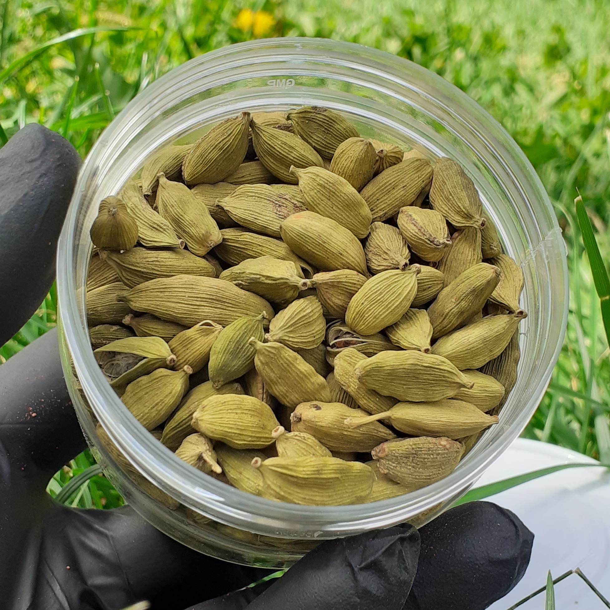 هل سبز درشت 30 گرمی