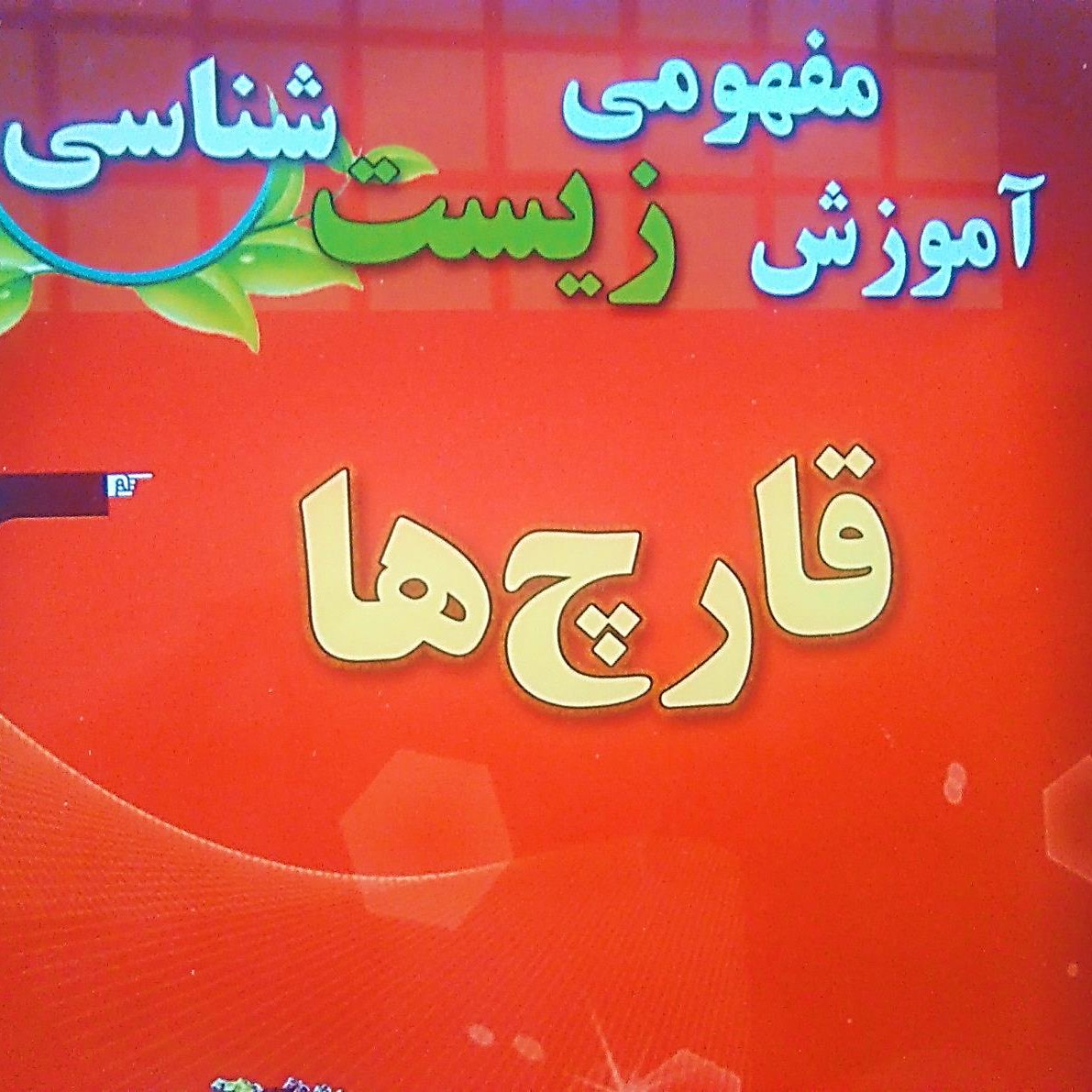 آموزش مفهومی زیست شناسی کنکور مبحث قارچ ها