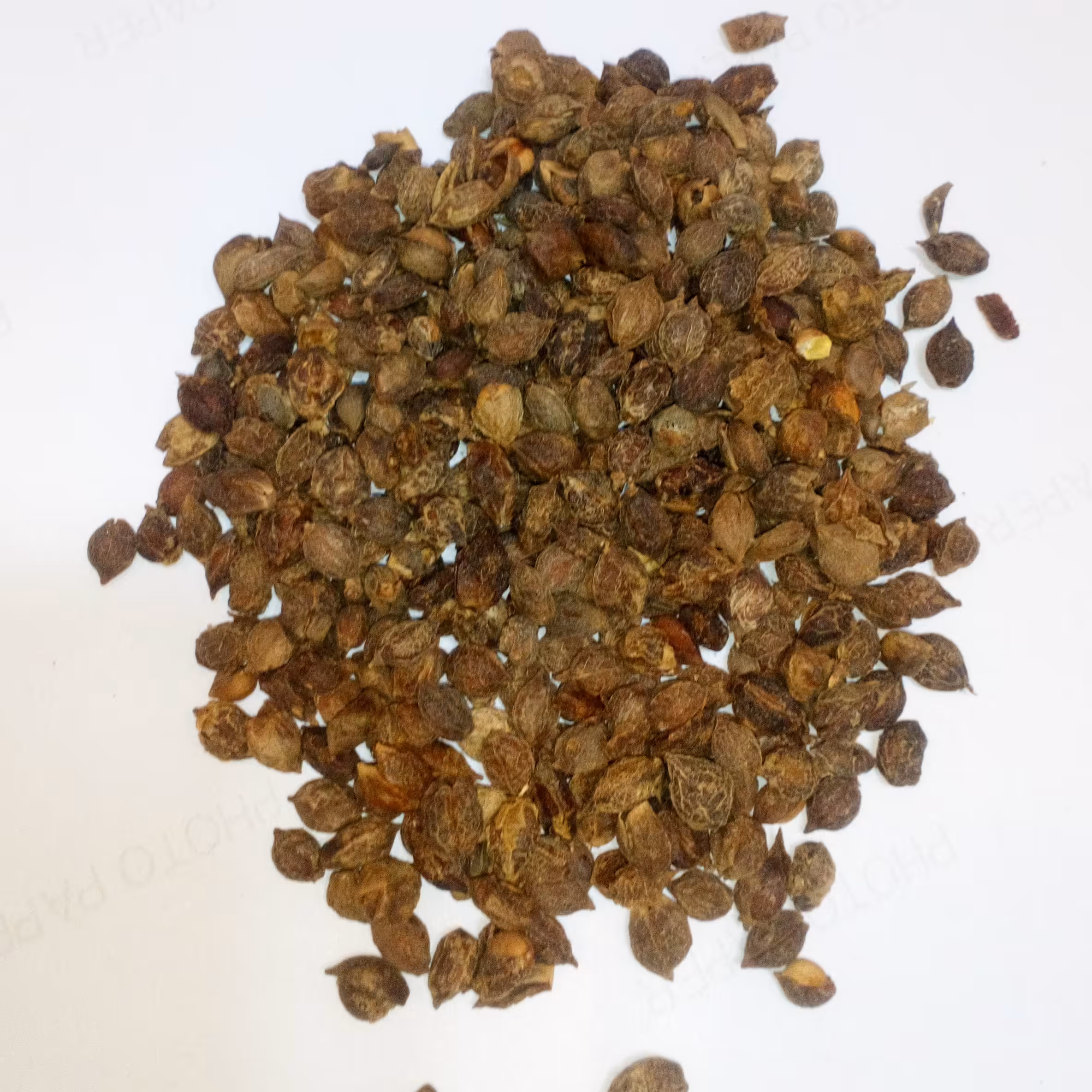 حب البلسان ( حب البلیسان )