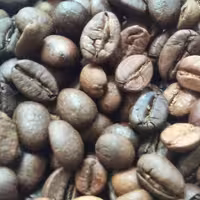 دانه قهوه عربیکا برزیل(نیم کیلویی) که بصورت مدیوم رُست شده است دارای عطروبویی بسیار زیاد است و مناسب برای اسپرسو میباشد