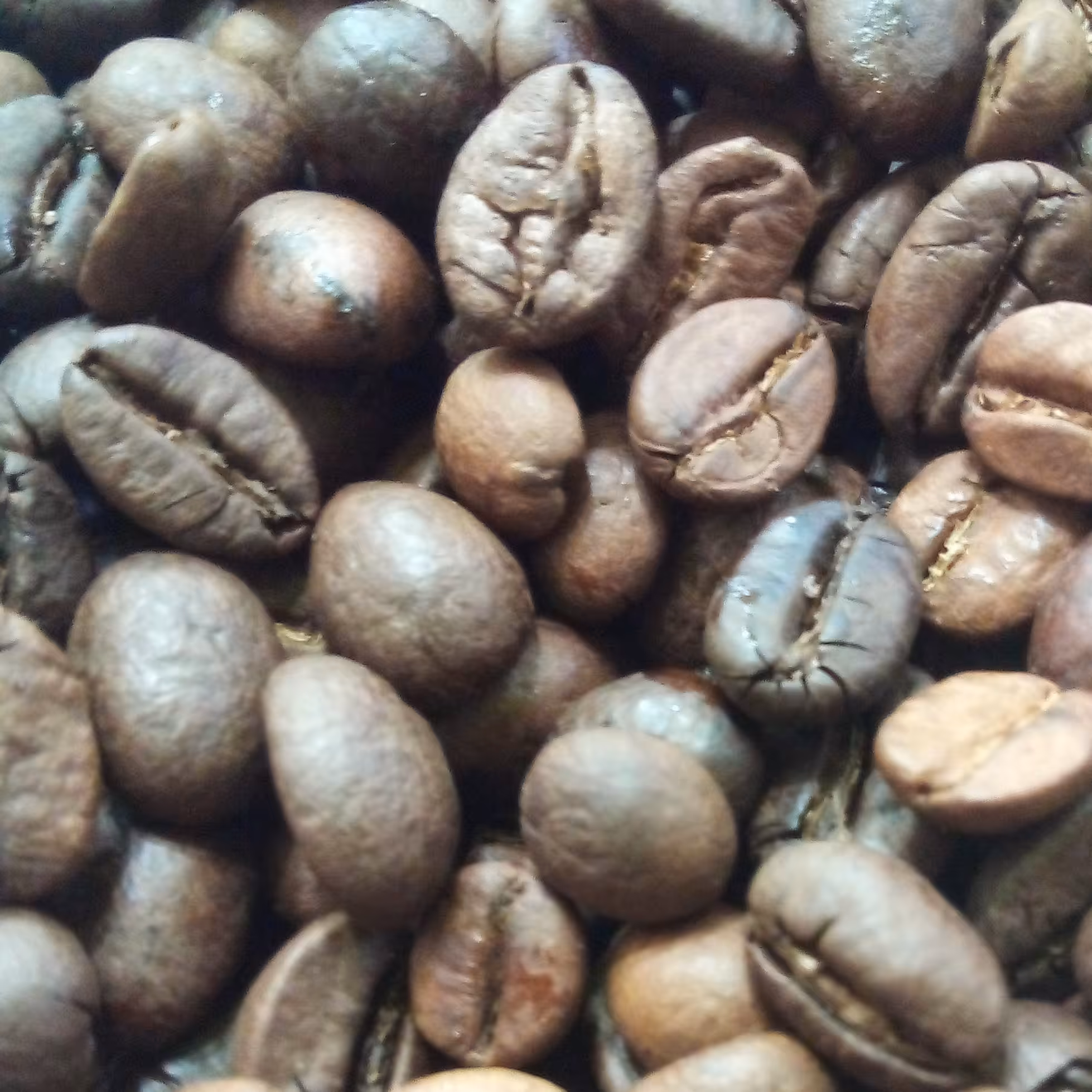 دانه قهوه عربیکا برزیل(نیم کیلویی) که بصورت مدیوم رُست شده است دارای عطروبویی بسیار زیاد است و مناسب برای اسپرسو میباشد