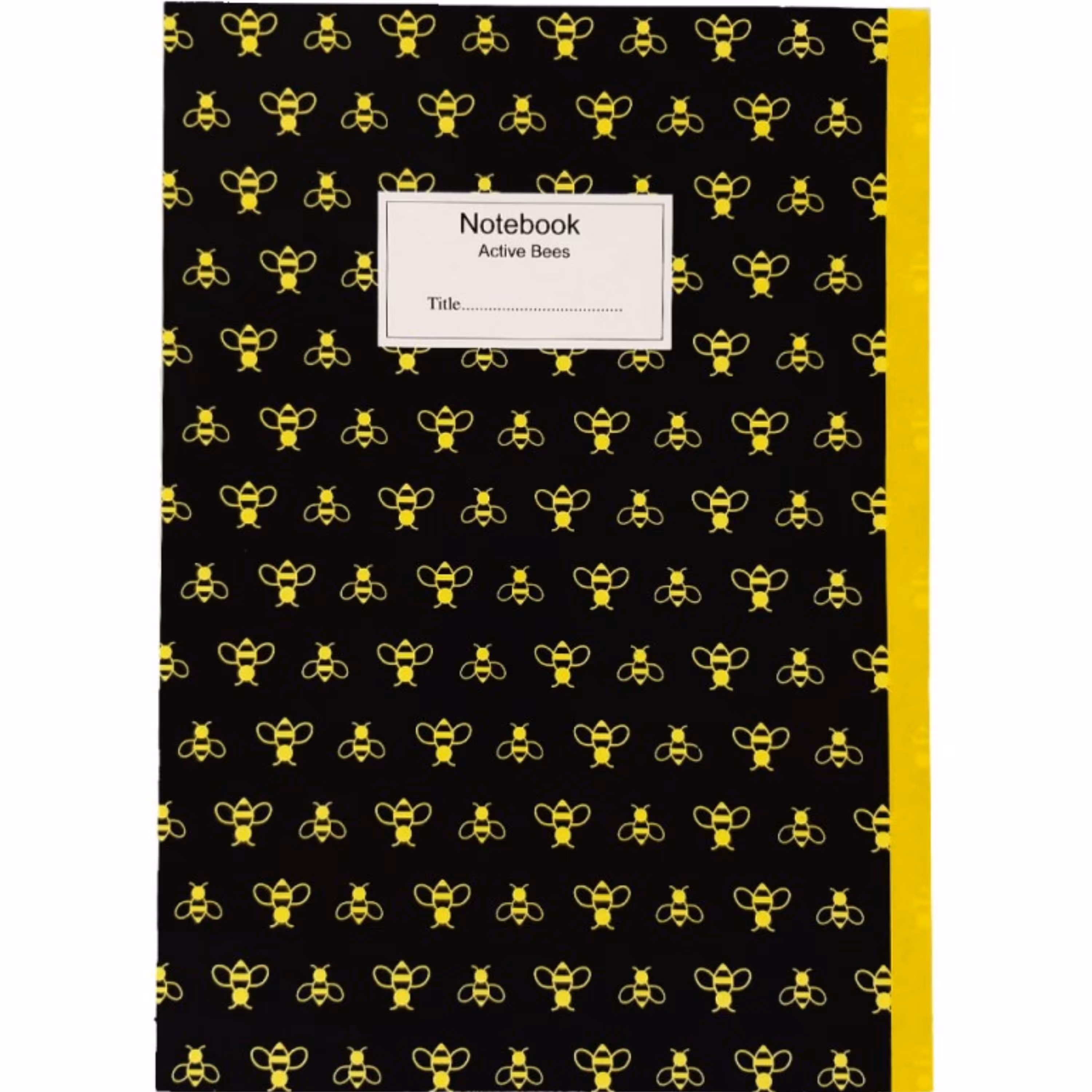 دفتر مشق 60 برگ پاپکو مدل پرونوت کد PN-917601