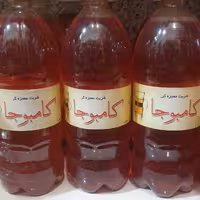 شربت کامبوجا