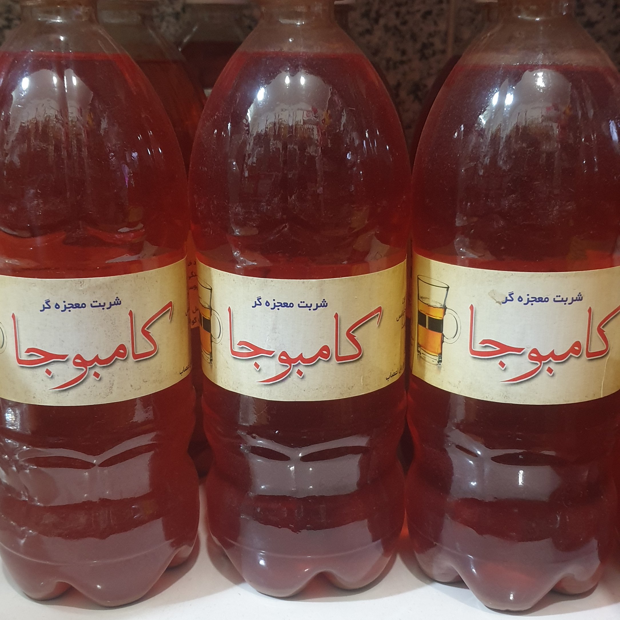 شربت کامبوجا