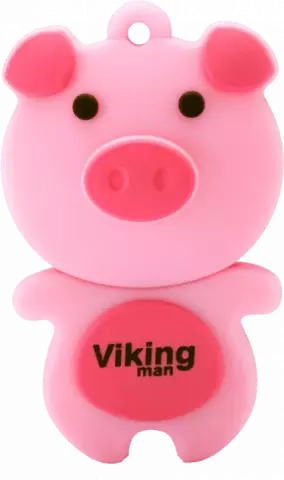 فلش مموری 16گیگابایت Viking مدل VM218