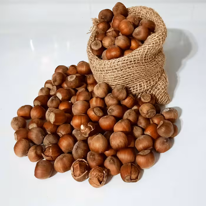 فندق دانه درشت یک کیلویی