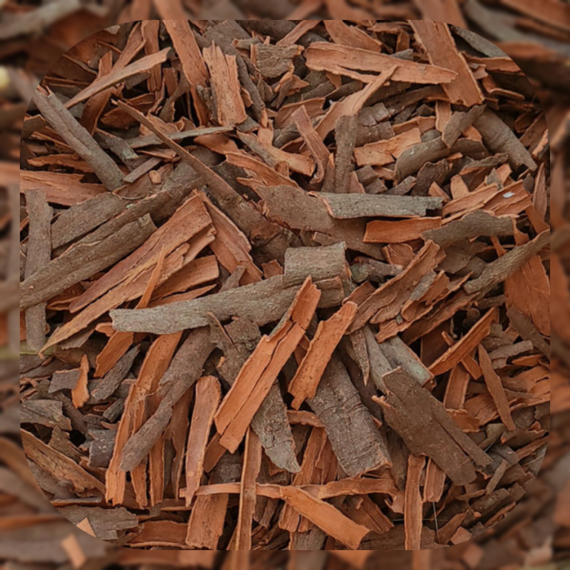 دارچین چوب درجه 1 گلسرخی(200گرم)