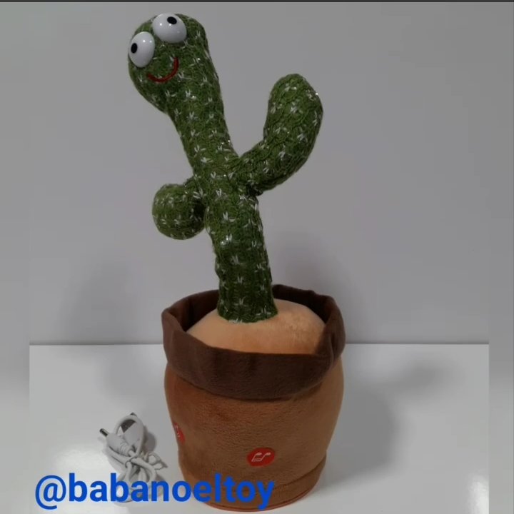 کاکتوس موزیکال
