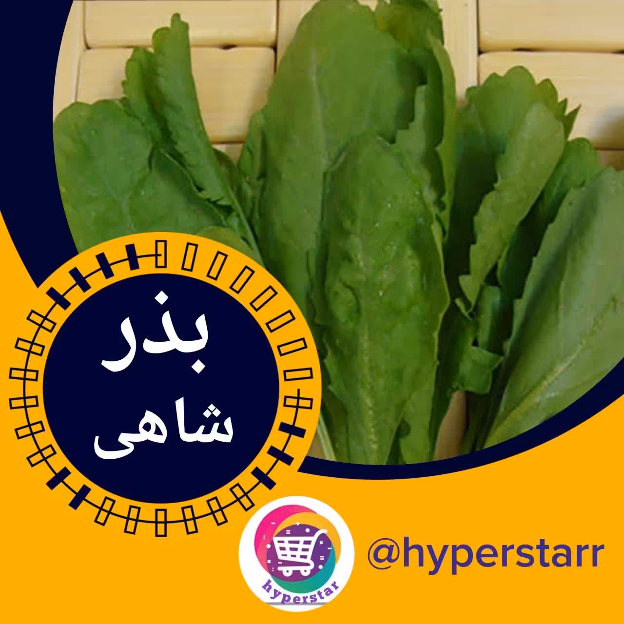 بذر شاهی 