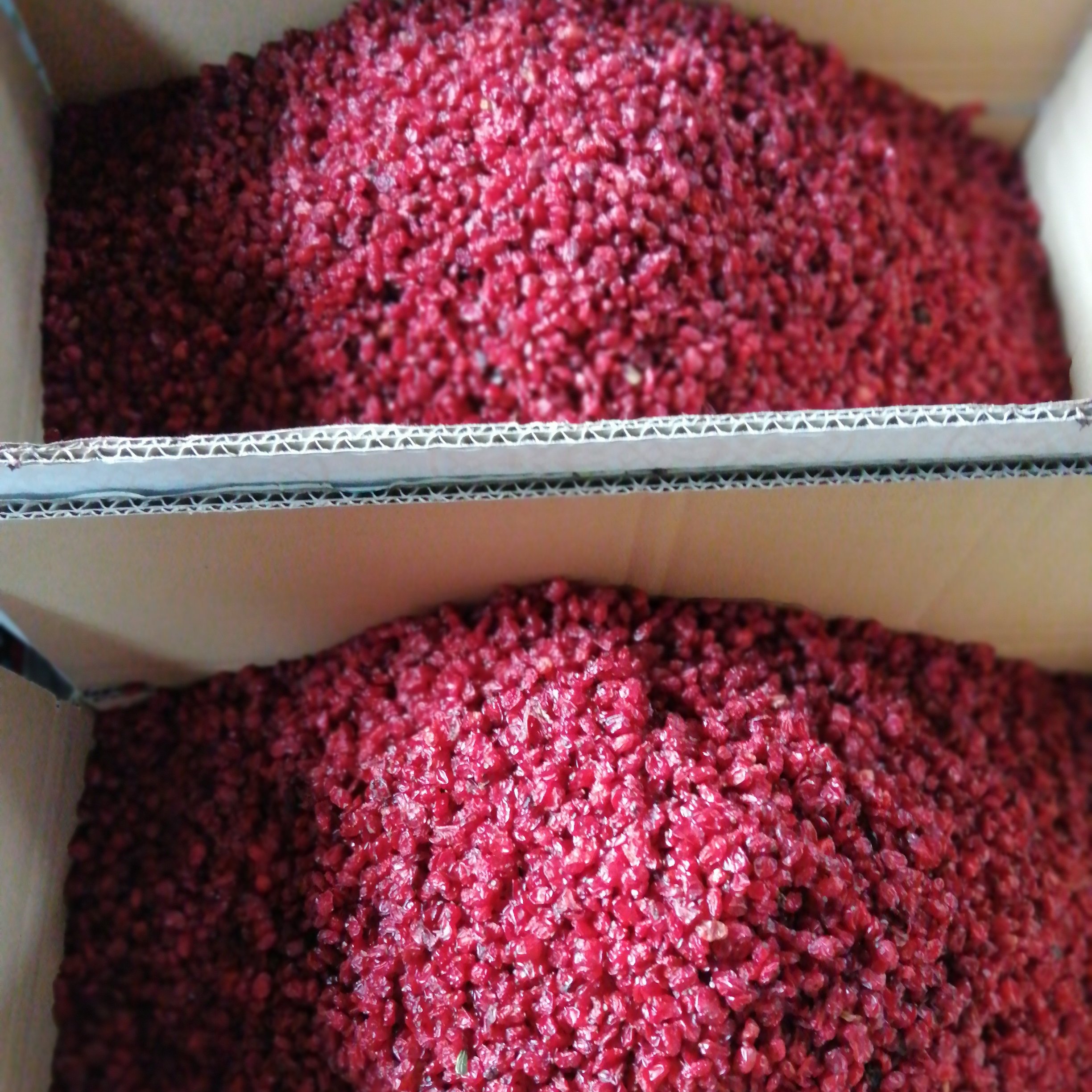 زرشک اناری امسالی فله ای عمده 50 کیلویی برداشت مهرماه سال 1403  تخفیف ویژه برای پخش مواد غذایی یا ارسال رایگان 