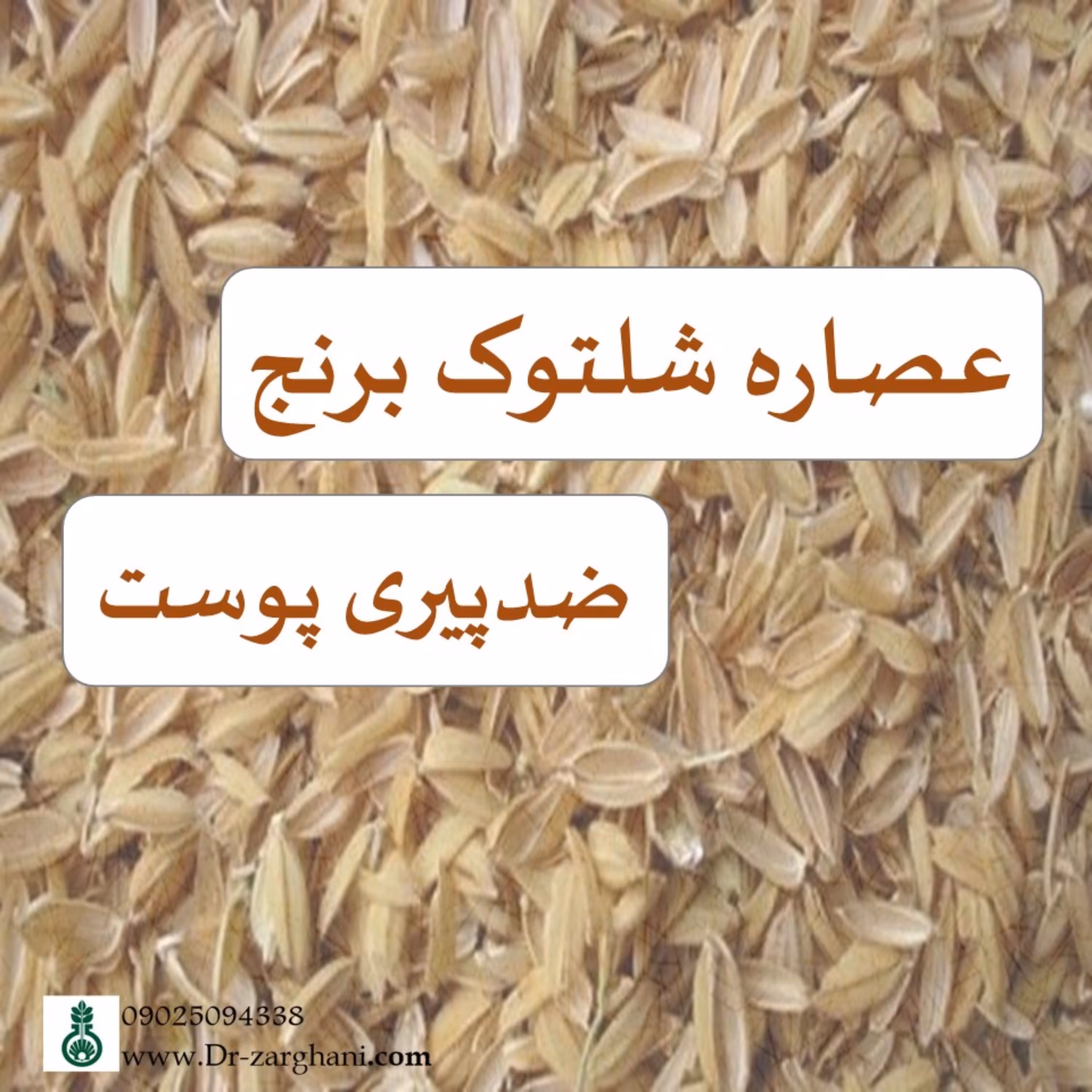 عصاره موضعی شلتوک برنج دکتر زرقانی(100 سی سی)