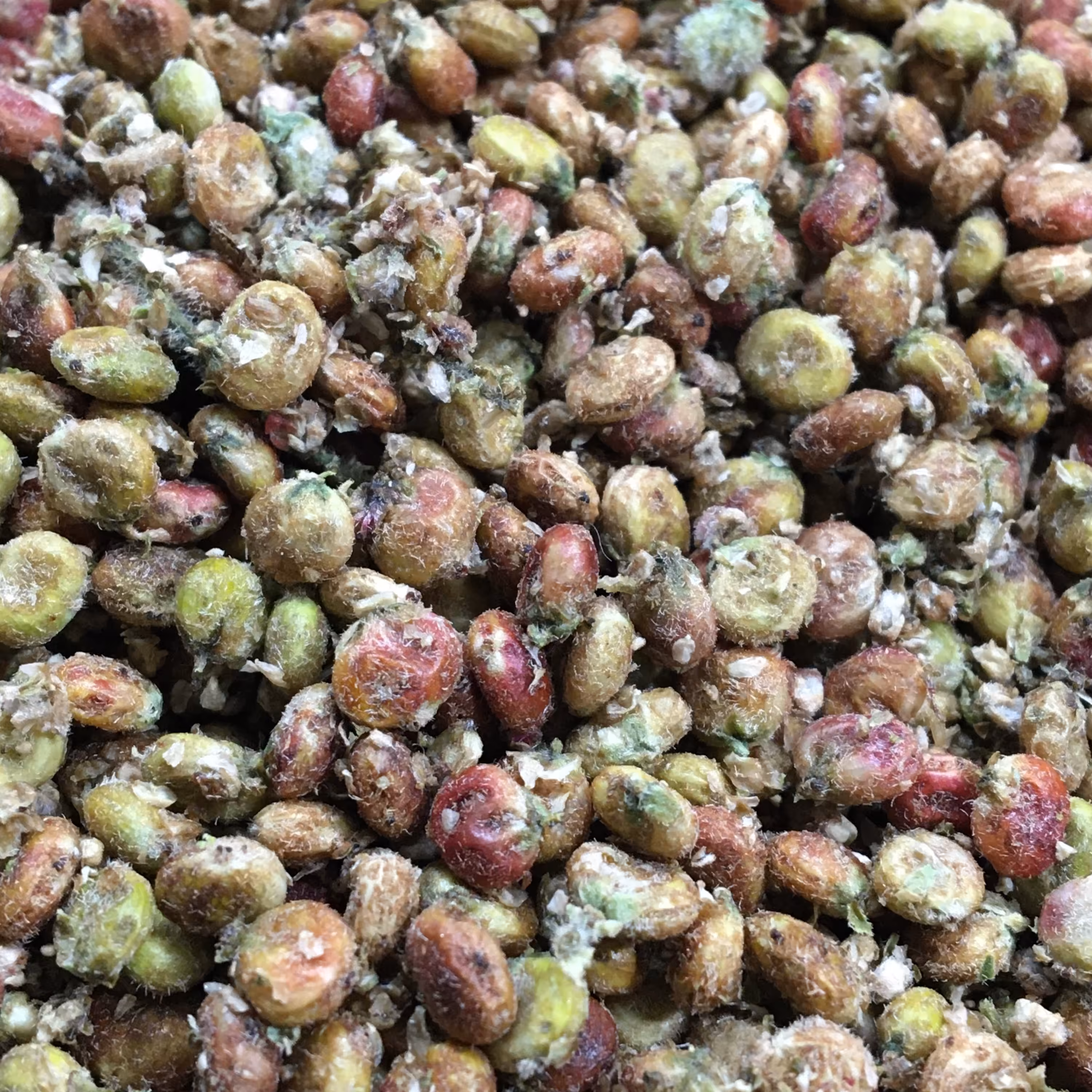 دانه سماق قهوه ای250 گرم