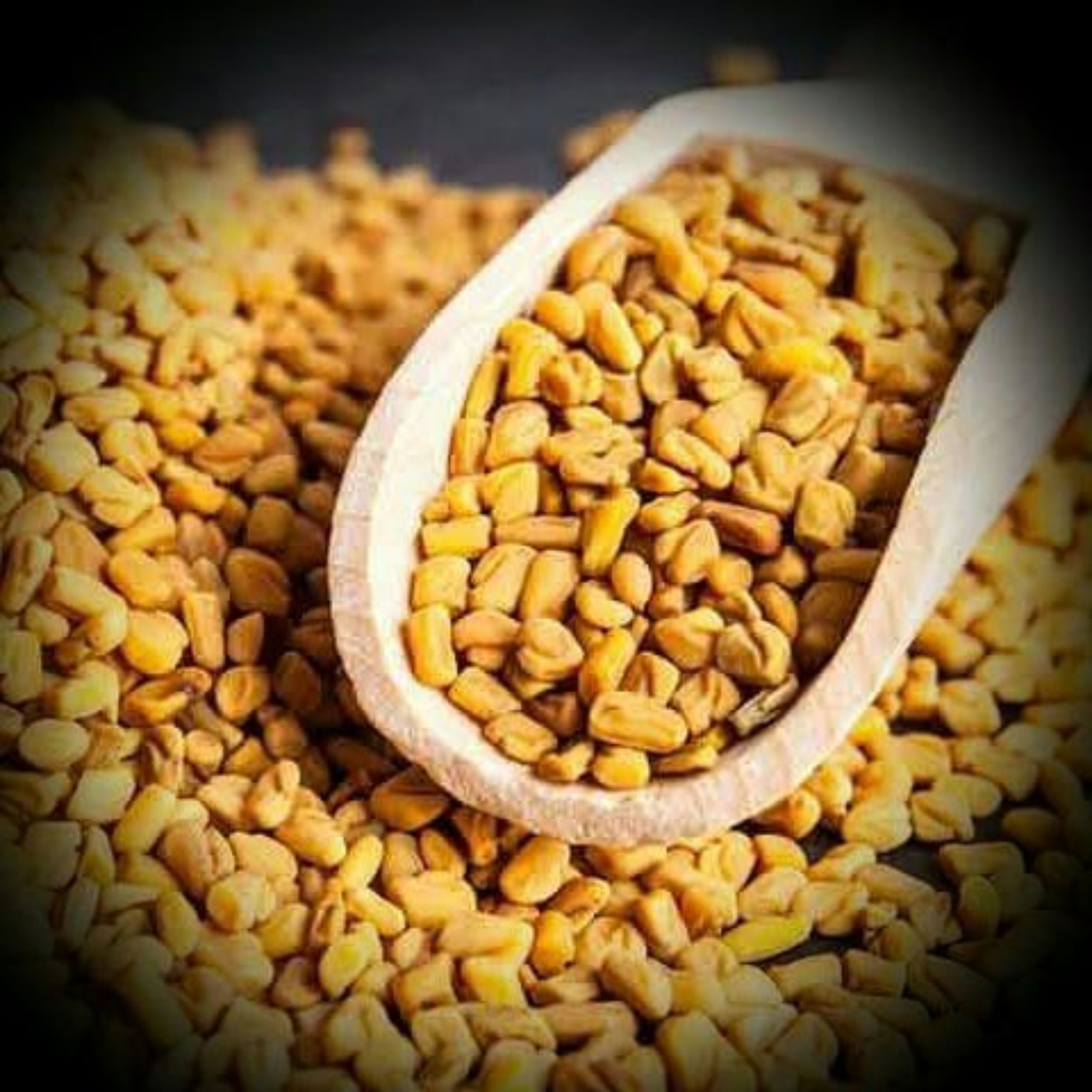 تخم شنبلیله اعلاء