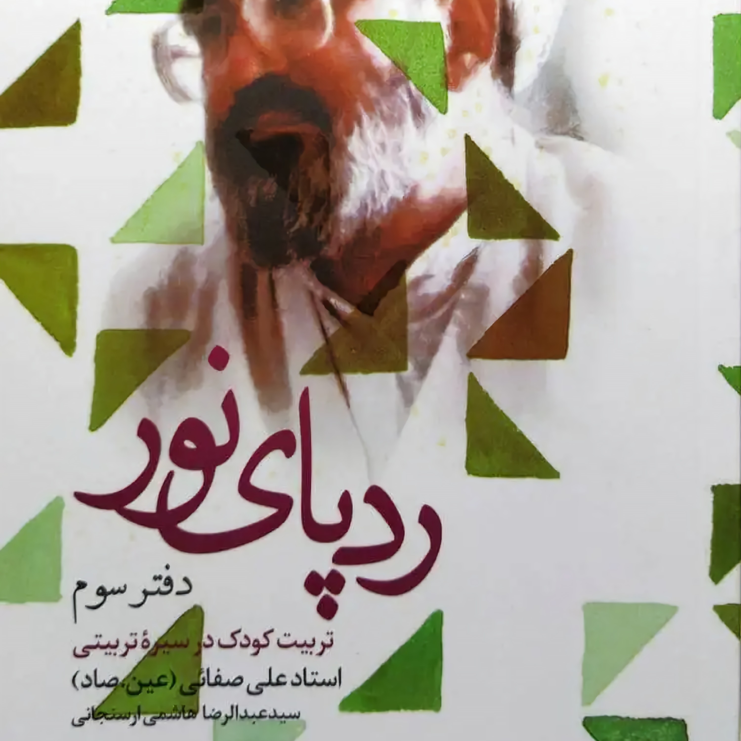 کتاب ردپای نور دفتر سوم - تربیت کودک در سیره تربیتی استاد علی صفایی حائری (عین صاد)