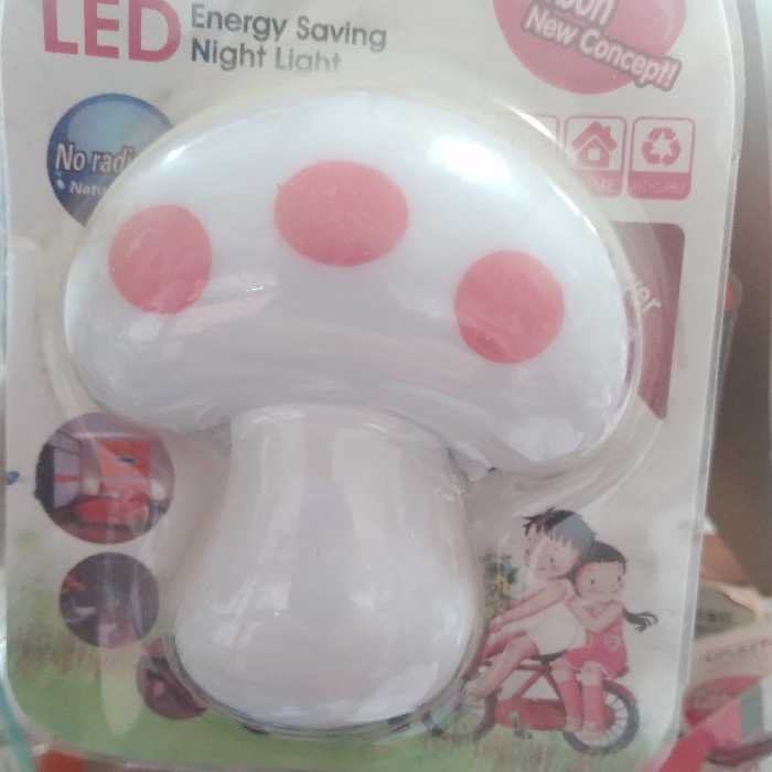 شب خواب پریزی قارچ