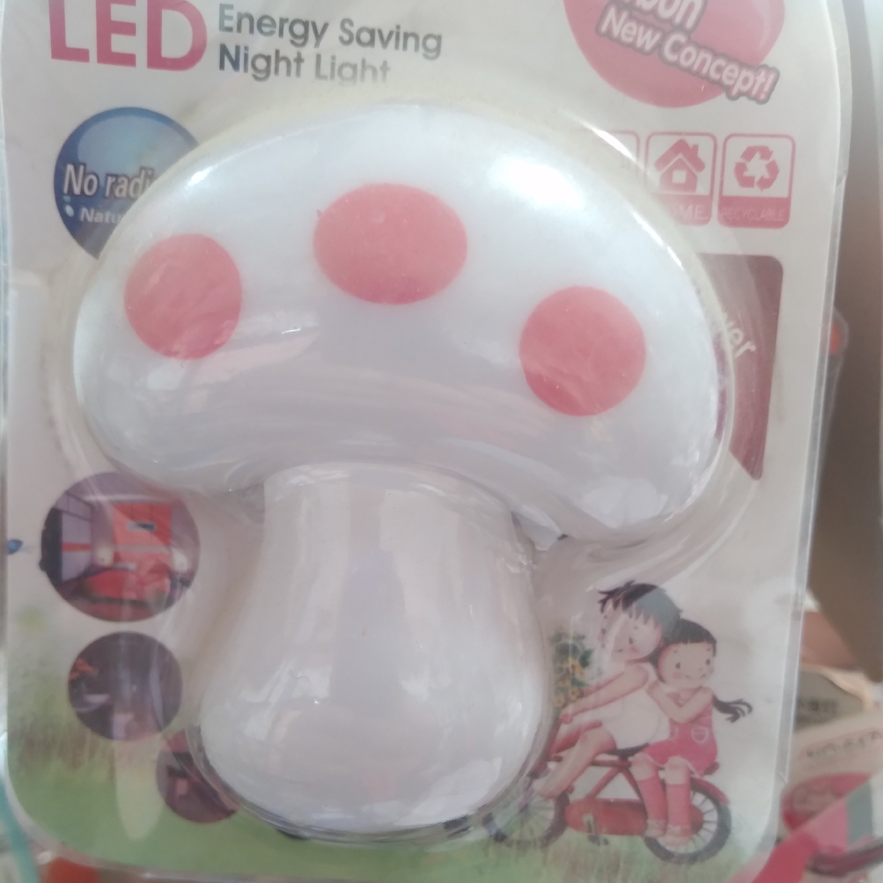 شب خواب پریزی قارچ