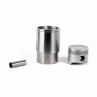 کیت بوش و پیستون با رینگ 206 - نوبل