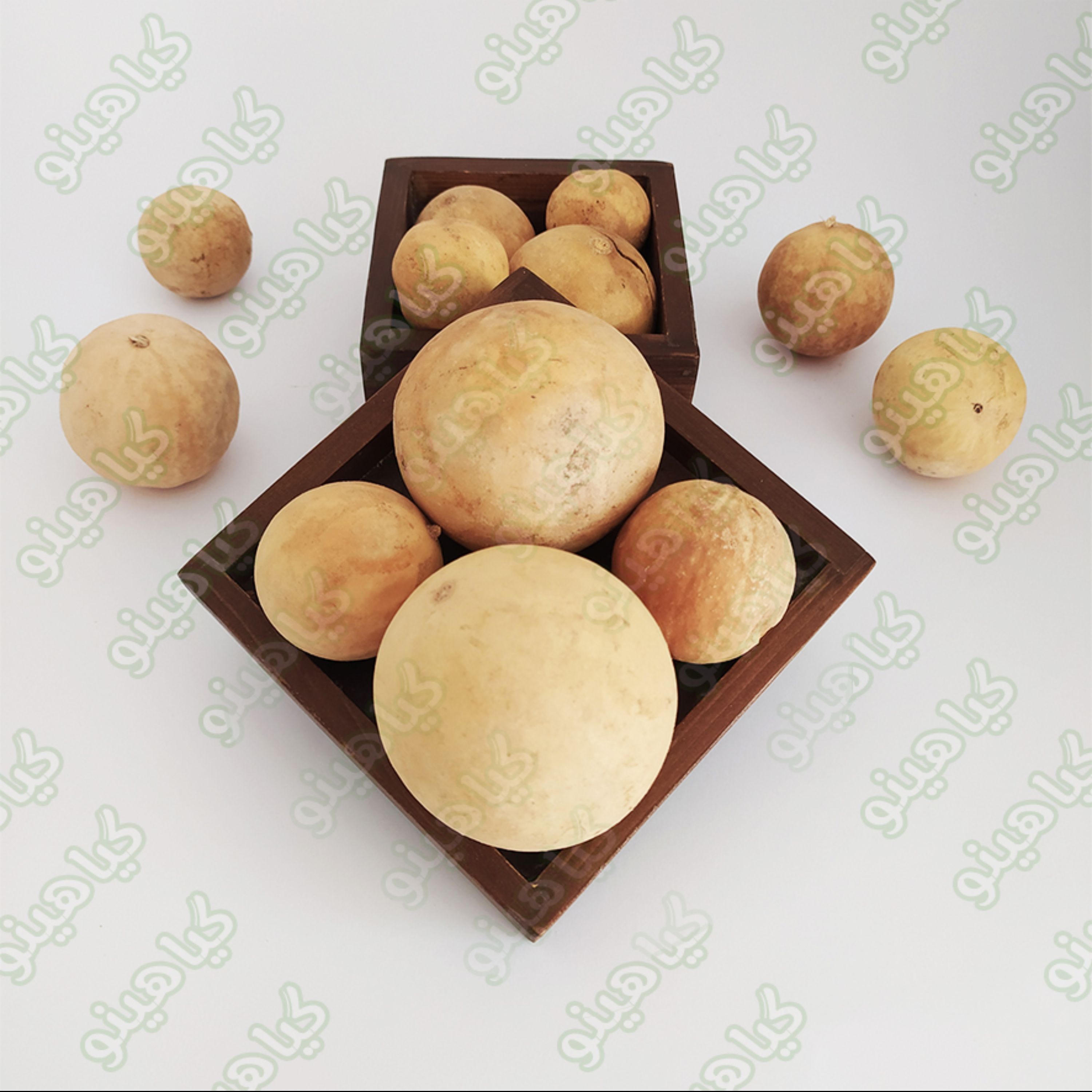 هندوانه ابوجهل 200 گرمی گیاهینو