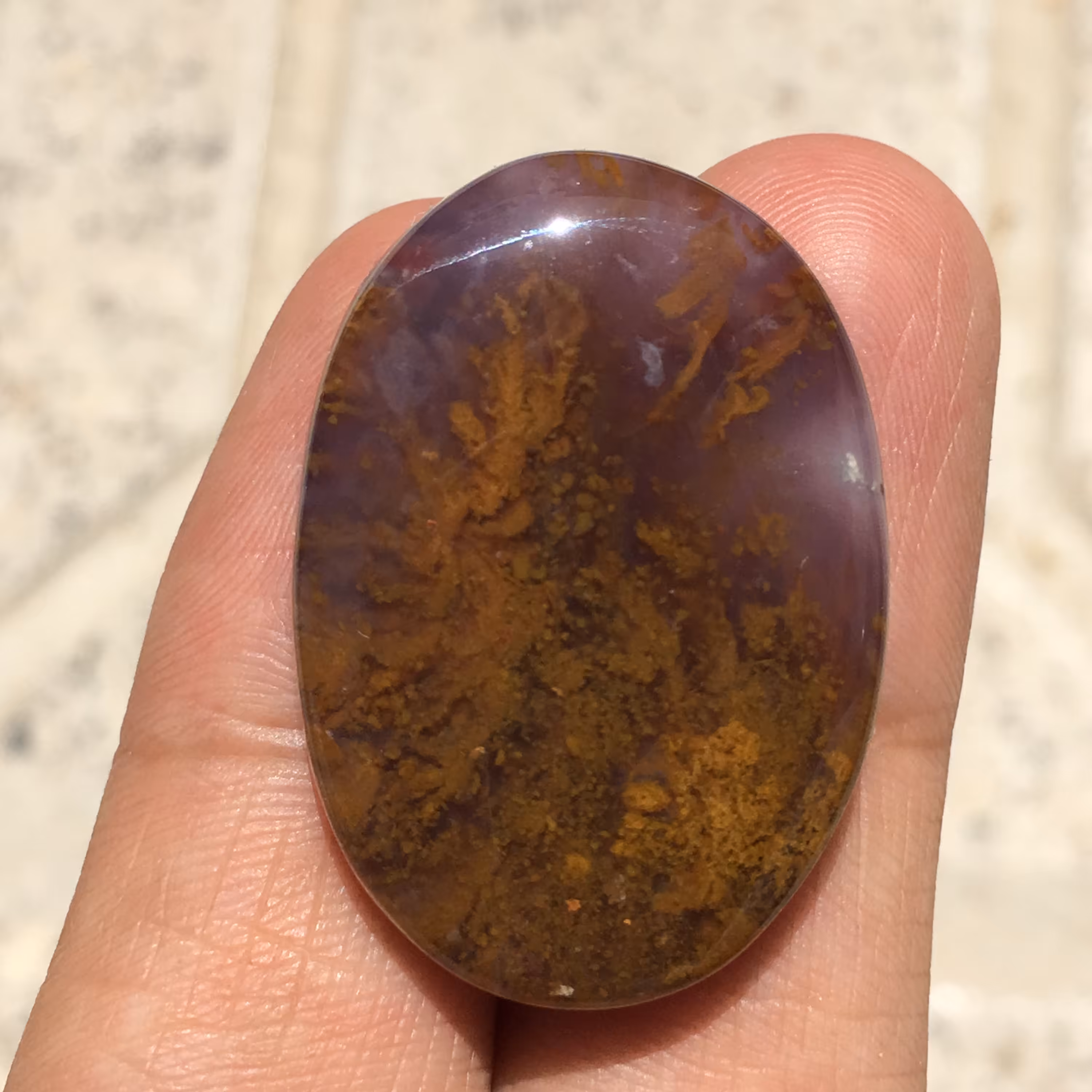 نگین شجر پاییزی درشت زمینه سوسنی