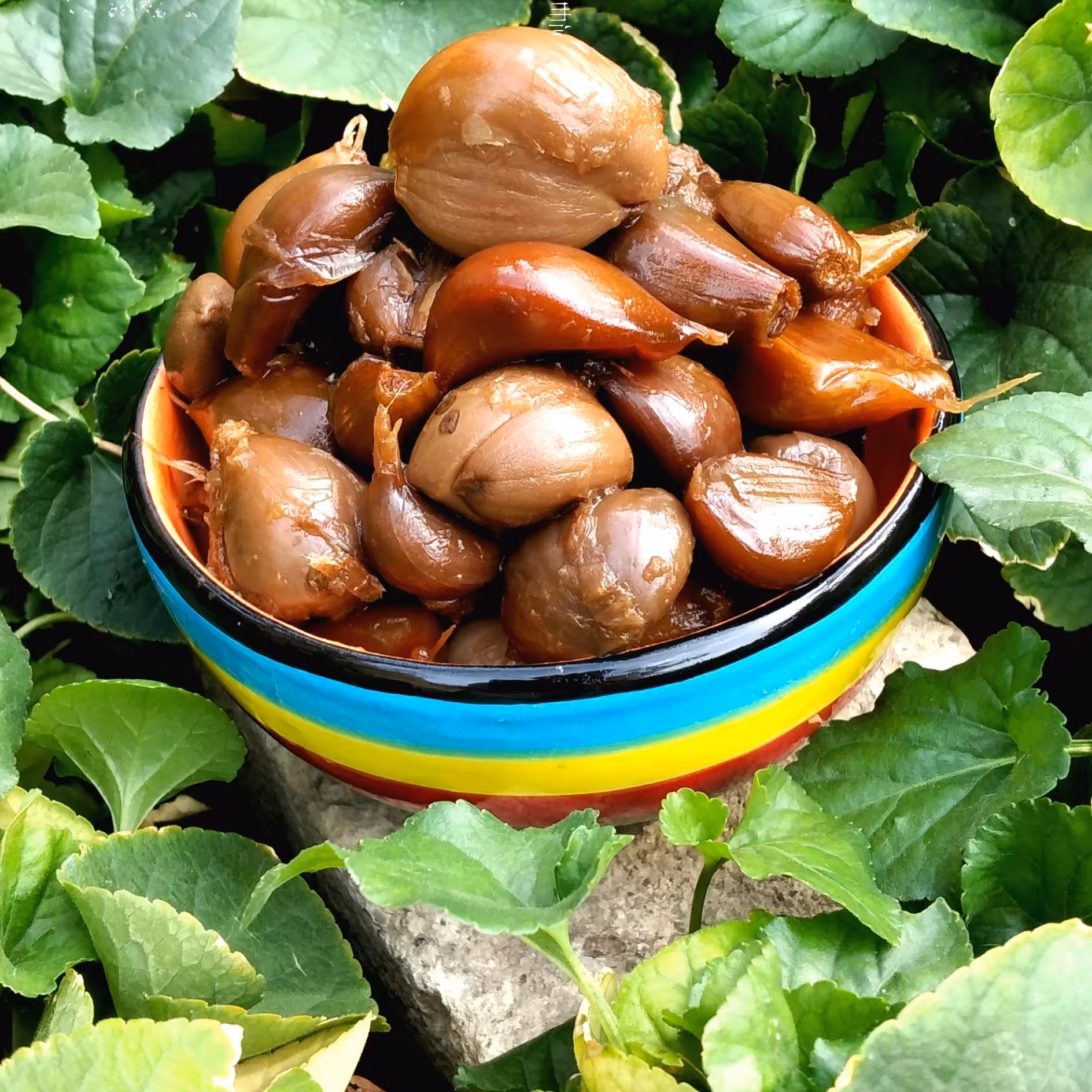 سیر ترشی خانگی درجه یک 5ساله ژیوان 3کیلویی