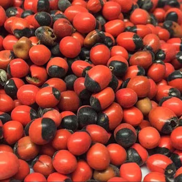 چشم خروس(عین العفریت) 50گرم