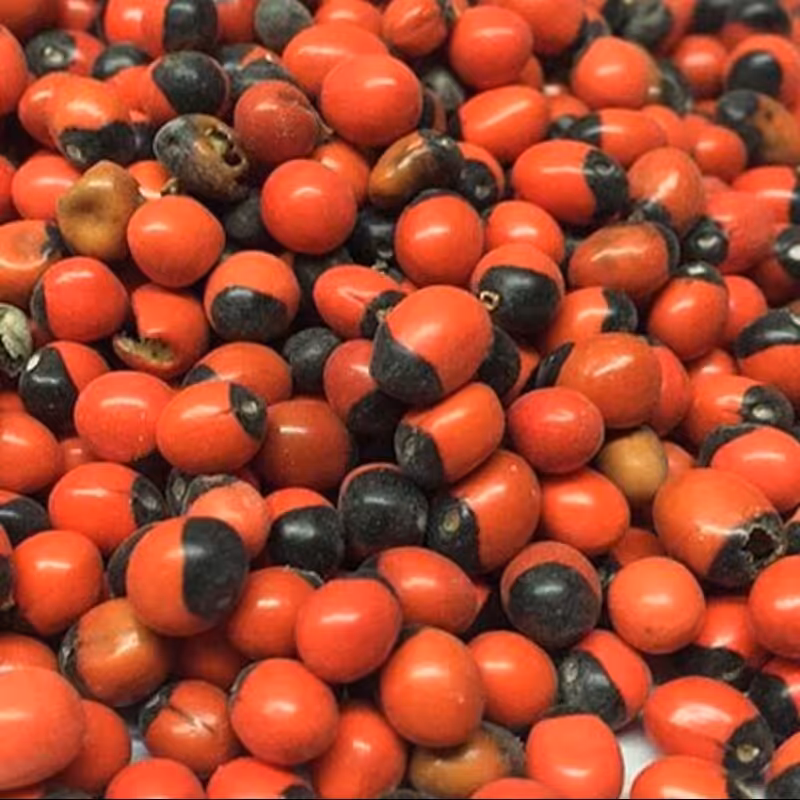 چشم خروس(عین العفریت) 50گرم