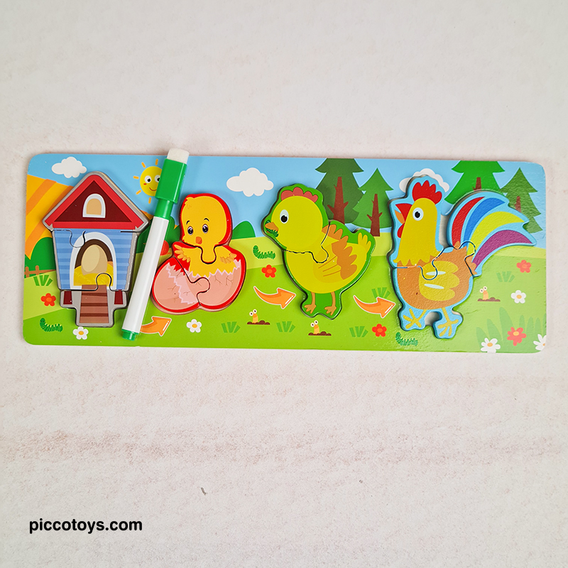 پازل برجسته چوبی مراحل رشد جوجه کد 4898778