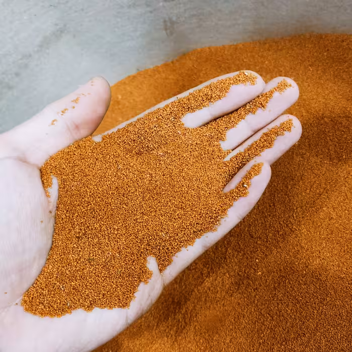 خاکشیر اعلاء زرین یک کیلویی پاک شده و تمیز