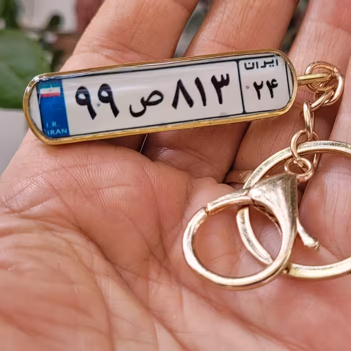 جاسویچی پلاک خودرو رزینی دوطرفه