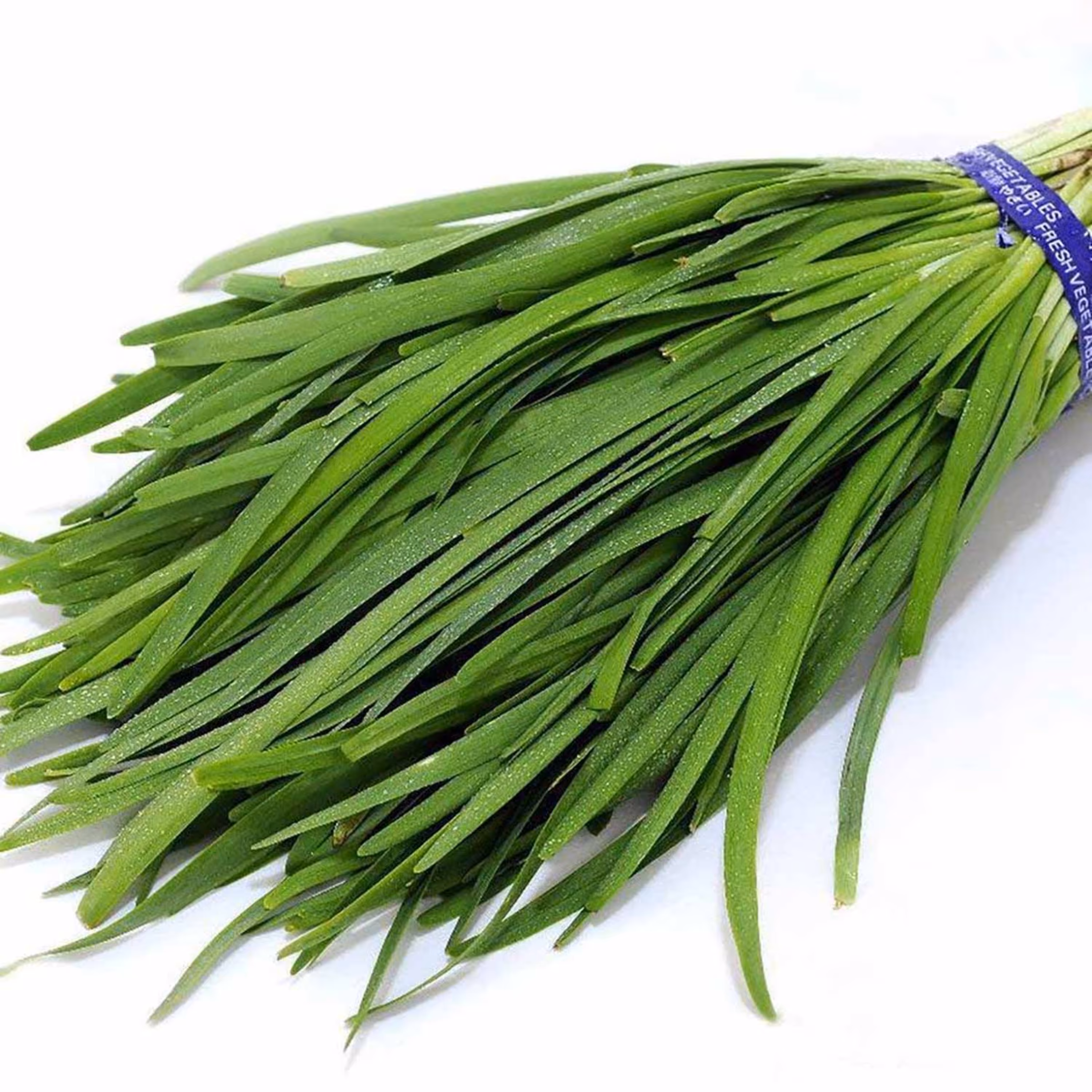 بذر سبزی تره