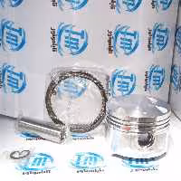 رینگ پیستون پیشرو گلد 250 ( انجین گرد ـ چهار سوپاپ)  شماره بندی جور 