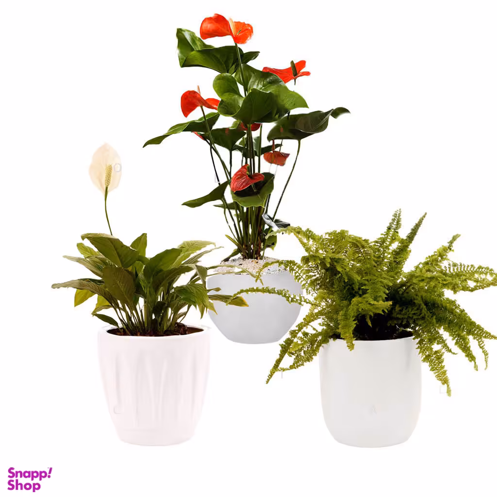 پکیج گلدان مدل نسیم