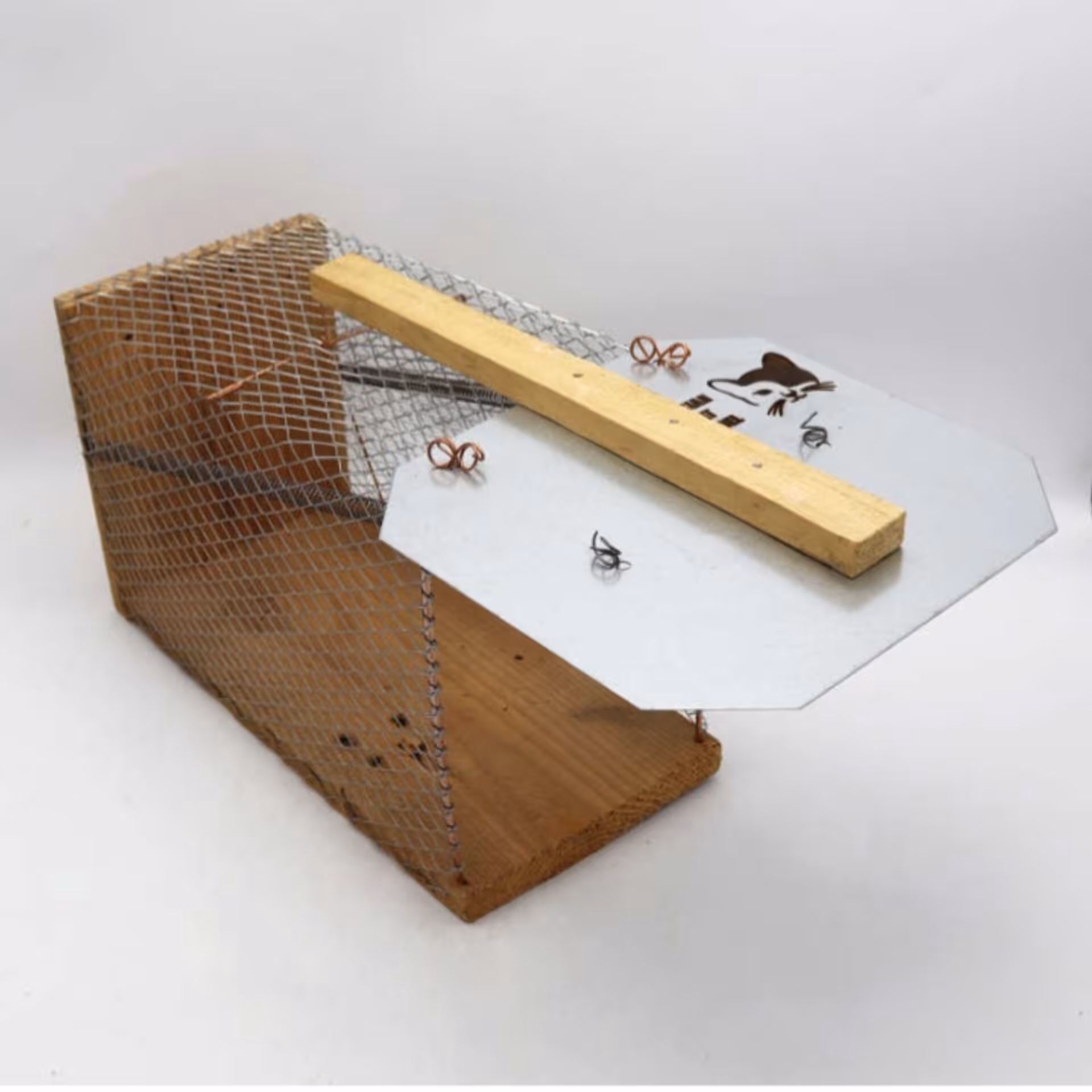 قفس نگهداری حیوانات خانگی کوچک کیفیت عالی سایز کوچک 