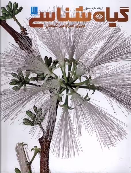 کتاب دایره المعارف مصور گیاه شناسی سایان«»