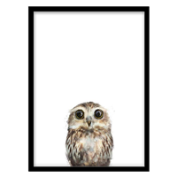 قیمت و خرید تابلو دکوراتیو مدل نقاشی آبرنگ جغد کد 1600