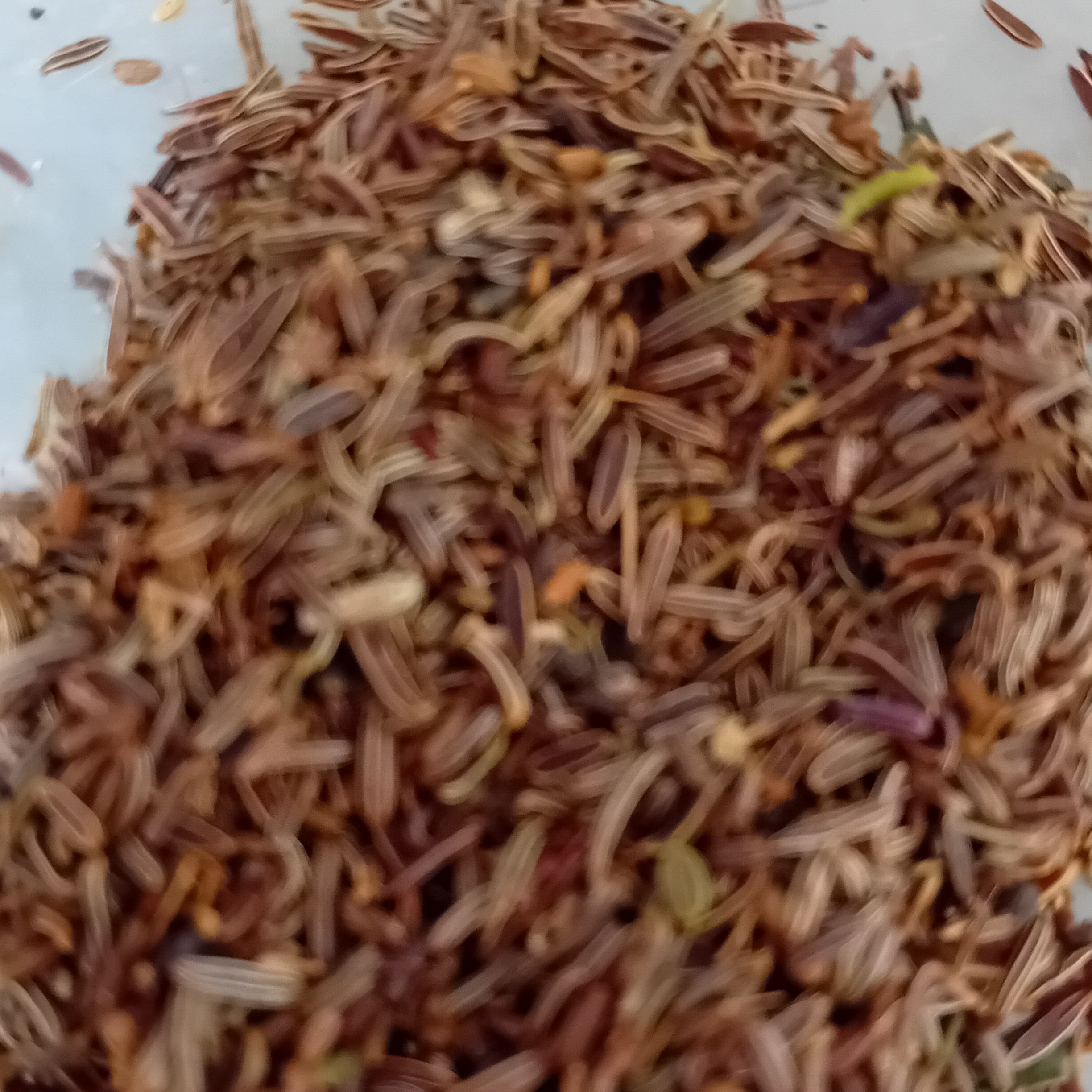 زیره سیاه کرمان در بسته های 100 گرمی  فوق اعلا  کیفیت به شرط 