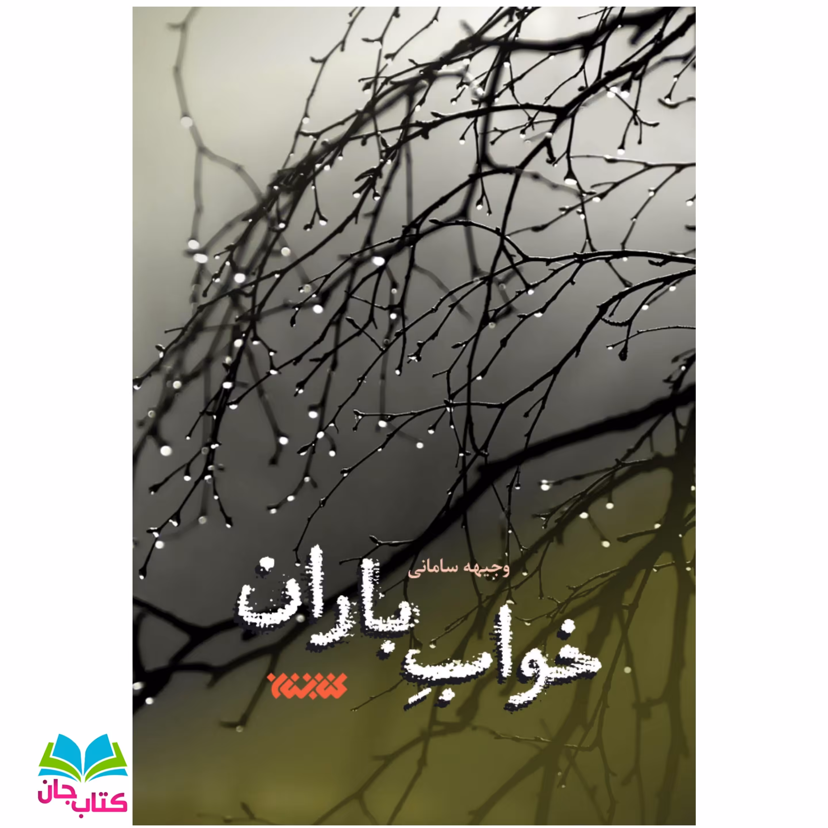 کتاب خواب باران
