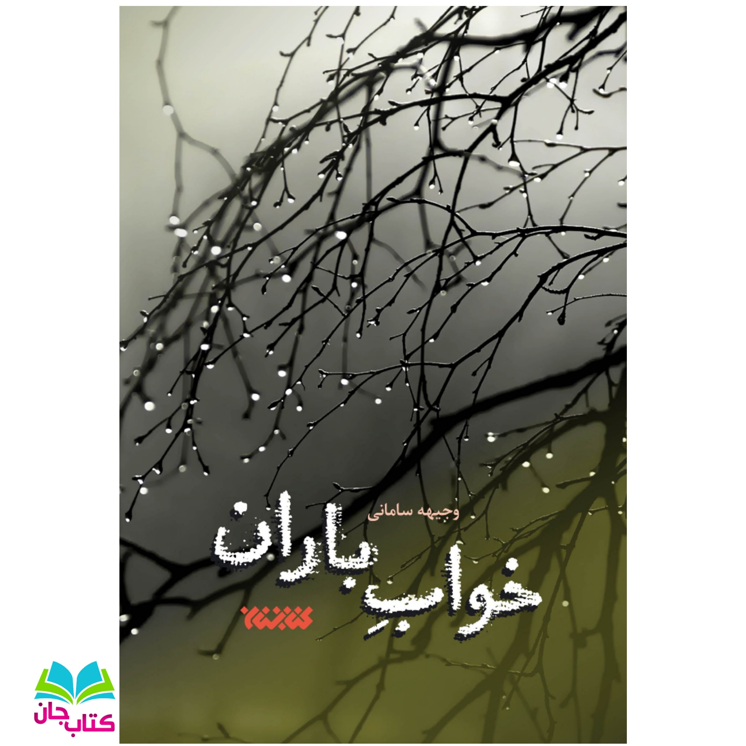 کتاب خواب باران