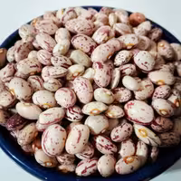 لوبیا چیتی اعلا (450 گرمی)